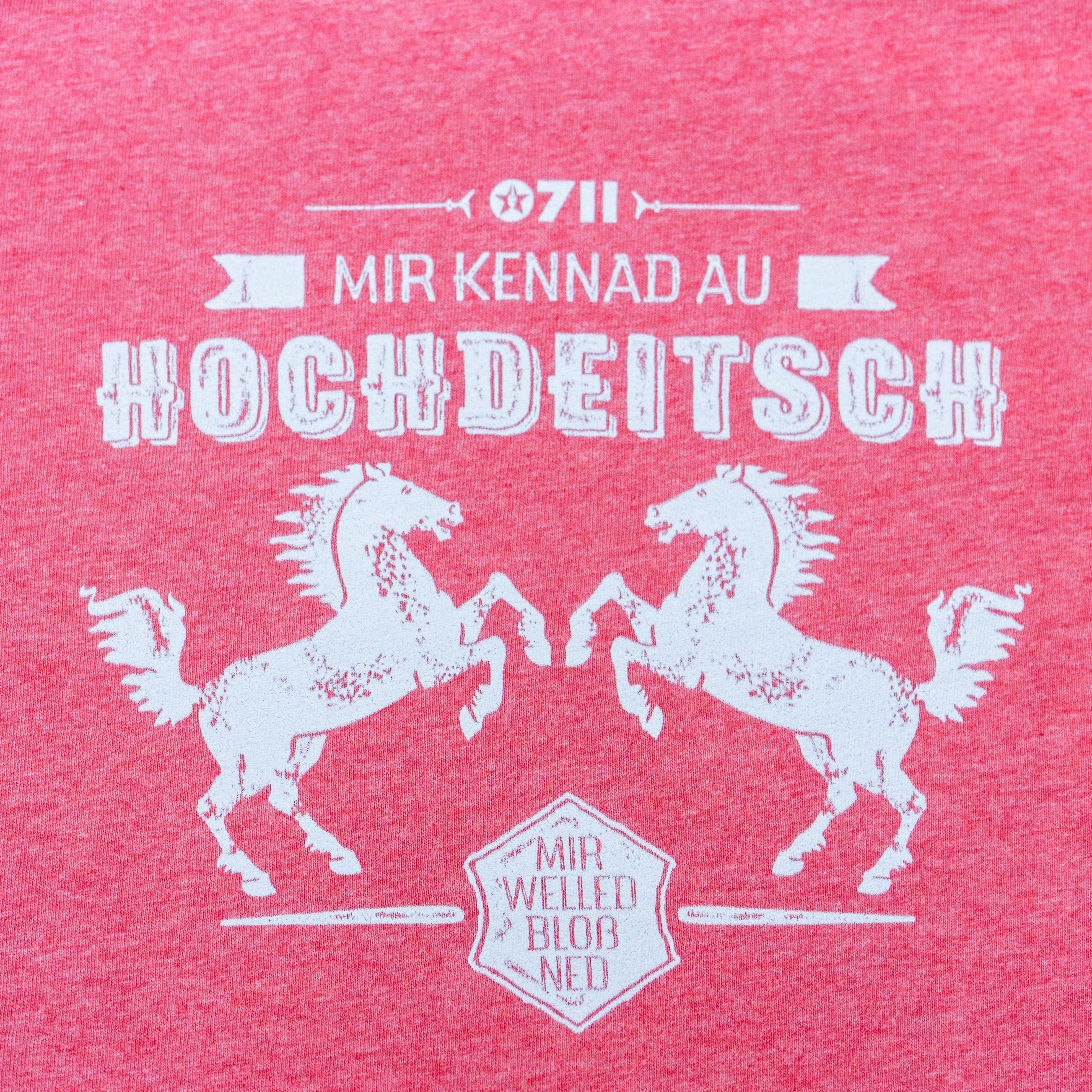 Stuttgart Shirt "mir kennad au hochdeitsch...